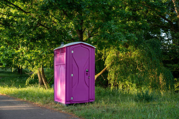 Best Luxury portable toilet rental  in Elsmere, DE